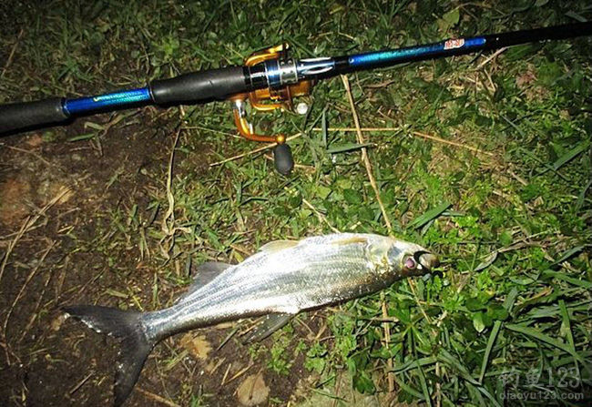 釣鯉魚調漂的正確方法與技巧_釣鯉魚如何調漂_漁我同程釣鯉魚調漂