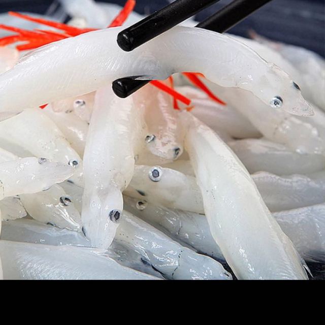 雷氏銀魚_銀魚是啥魚_雷氏銀魚