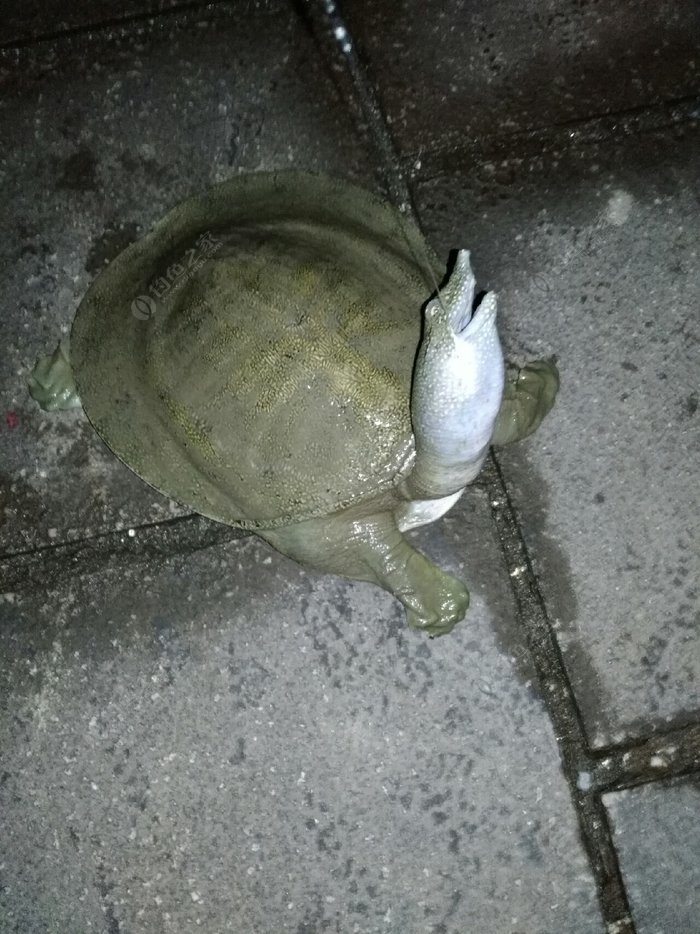 風行釣具 老鬼釣魚學校的培訓和“老鬼杯”釣魚大獎賽