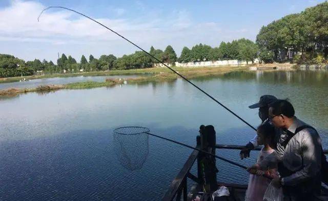 釣魚夏季餌料_釣魚夏季用什么小藥_夏季釣魚