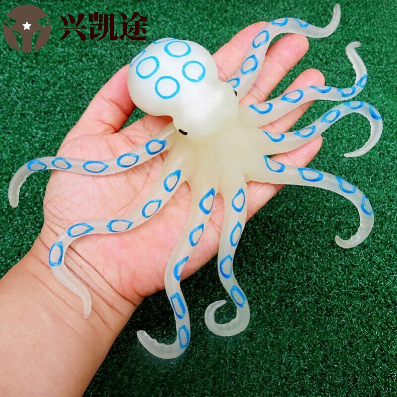 環藍章魚圖片_藍環章魚_藍環章魚百度百科