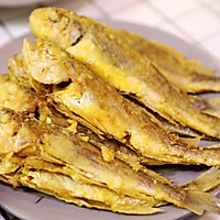 黃花魚_黃花魚是淡水魚還是海水魚_黃花魚圖片