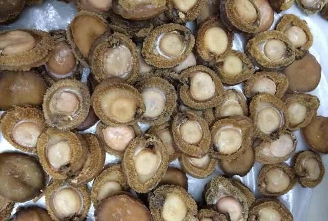 鮑魚營養價值_鮑魚營養價值高不高_鮑魚營養價值和功效與作用