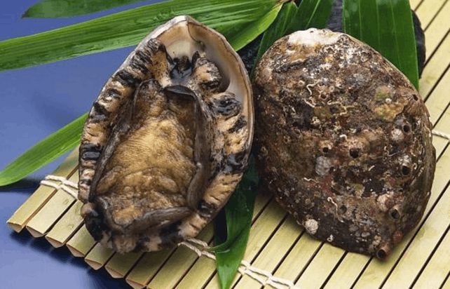 鮑魚營養價值和功效與作用_鮑魚營養價值_鮑魚營養價值高不高