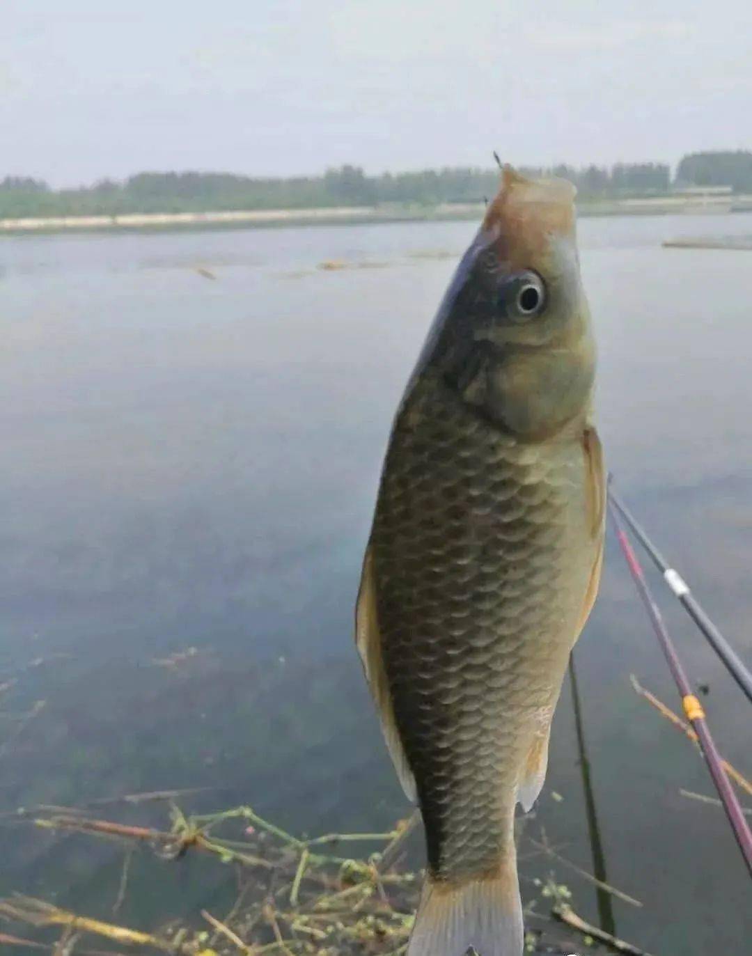 海釣教程_海釣技法_海釣技巧