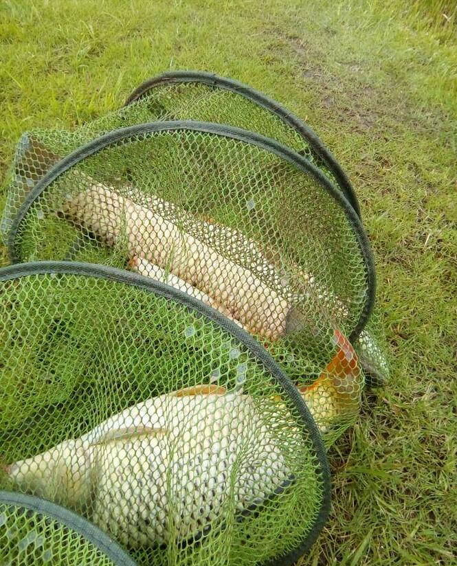 水庫釣大魚_釣水庫大魚用什么樣的魚竿_水庫釣大魚用什么餌