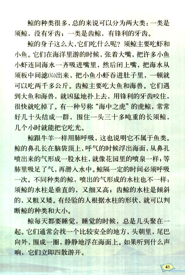 一頭鯨有多重_鯨頭有個廟叫什么_鯨頭有哪些山可以爬