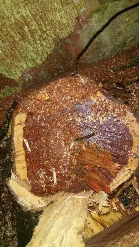第三十三章硝煙再起虎躍龍潭傳風搖枝頭123