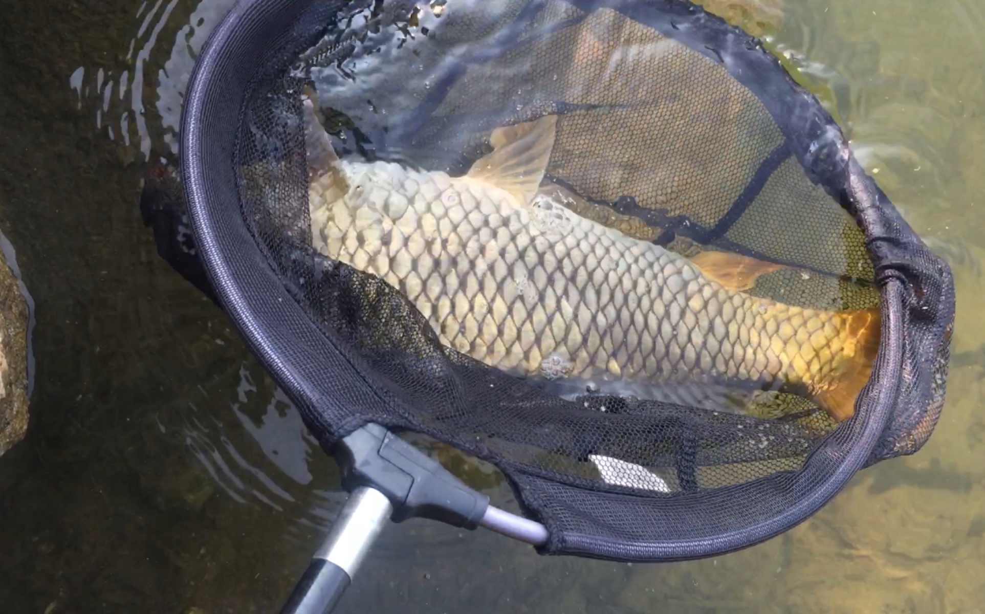 釣魚人網臺釣的心得及經驗說出來希望各釣友多加指點