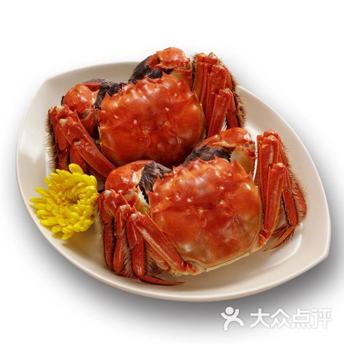 興化大閘蟹批發市場_興化大閘蟹_大閘蟹興化蟹