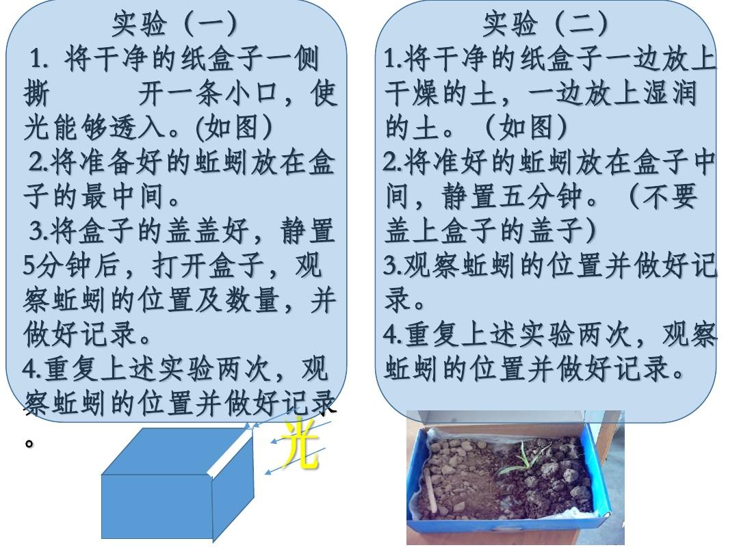 蚯蚓選擇實驗報告_蚯蚓選擇教學反思_蚯蚓的選擇