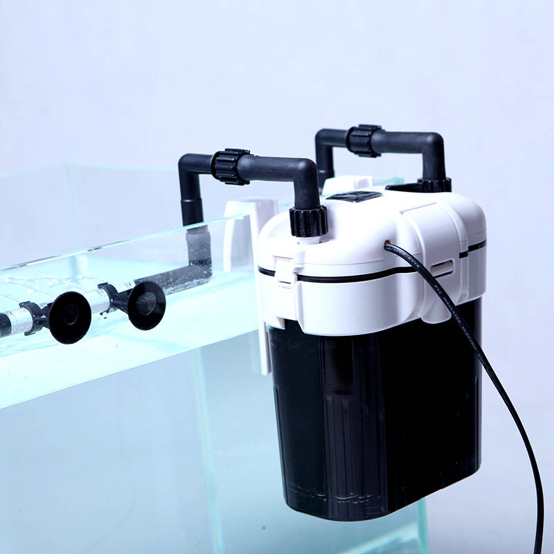 過濾箱器水族缸的作用_水族箱過濾器材擺放視頻_水族箱過濾器