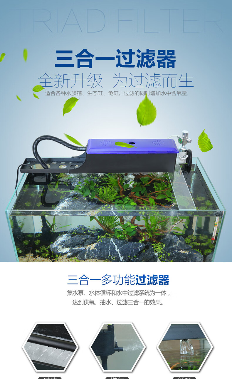 過濾箱器水族缸的作用_水族箱過濾器_水族箱過濾器材擺放視頻