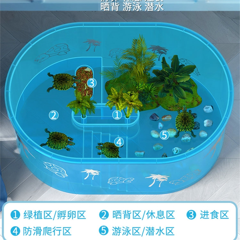 小烏龜怎么養_烏龜養小盆會怎樣_小烏龜養