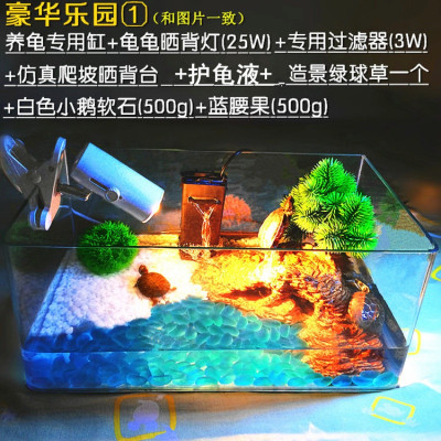 小烏龜養_小烏龜怎么養_烏龜養小盆會怎樣