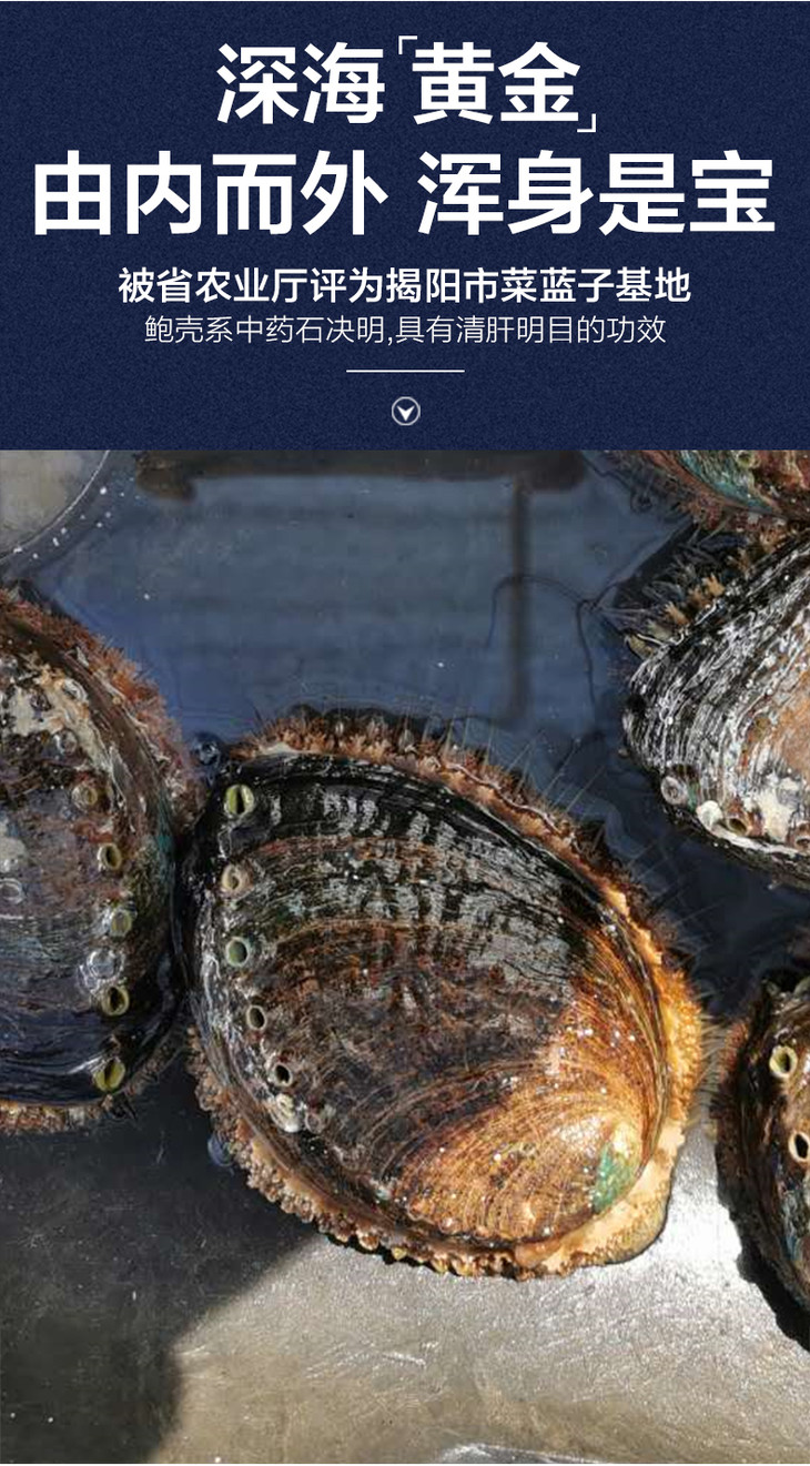 鮑魚是什么_鮑魚是海鮮嗎_鮑魚是指人哪個部位