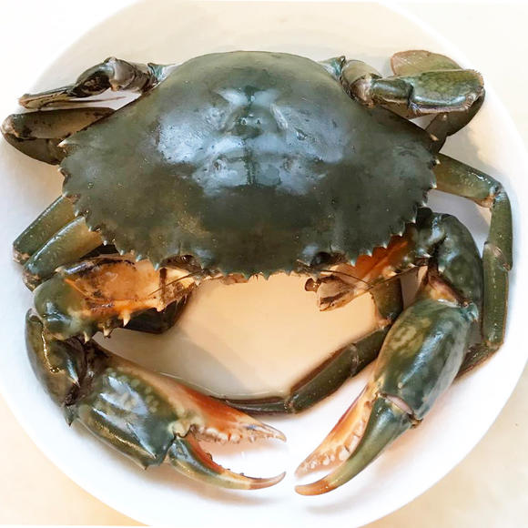 清水暫養青蟹可以用清水嗎？死青蟹不能食用