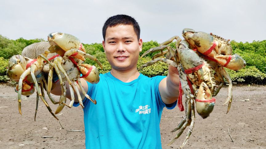 鋸緣青蟹_鋸緣青蟹能長多大_鋸緣青蟹怎么做好吃