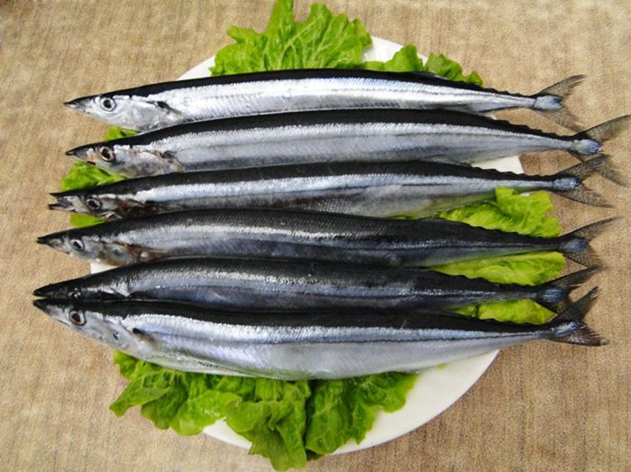 刀魚多少錢一斤_刀魚多少錢一斤_刀魚多少錢一斤