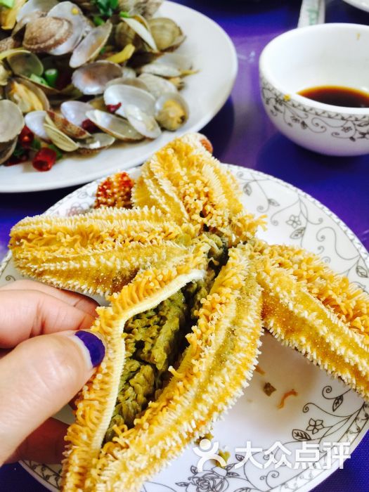 海星吃的食物是什么_海星吃什么食物_吃海星吃的是什么部位