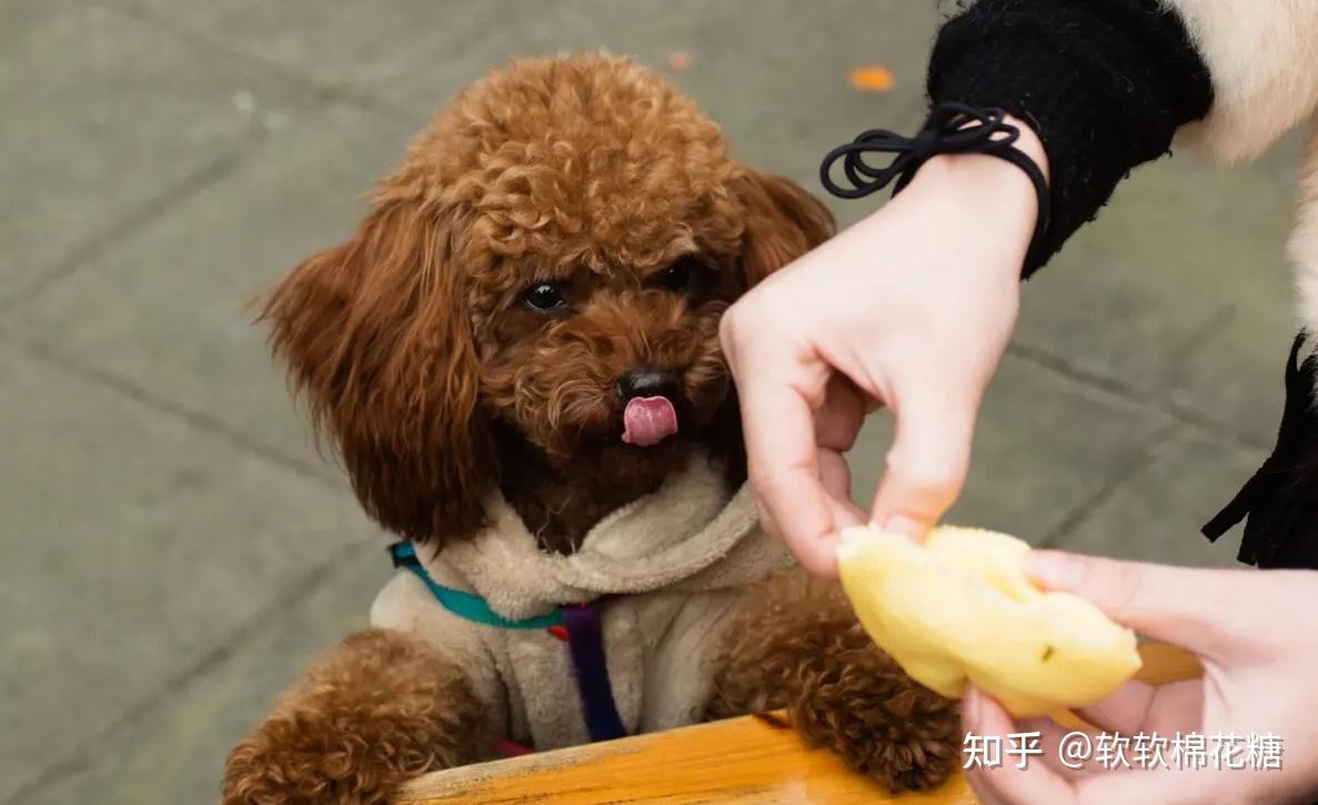 喂食時間_喂食時間是多少_喂食時間電影