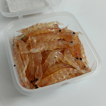 浮游磯釣_浮游磯釣線組_浮游磯釣教學視頻