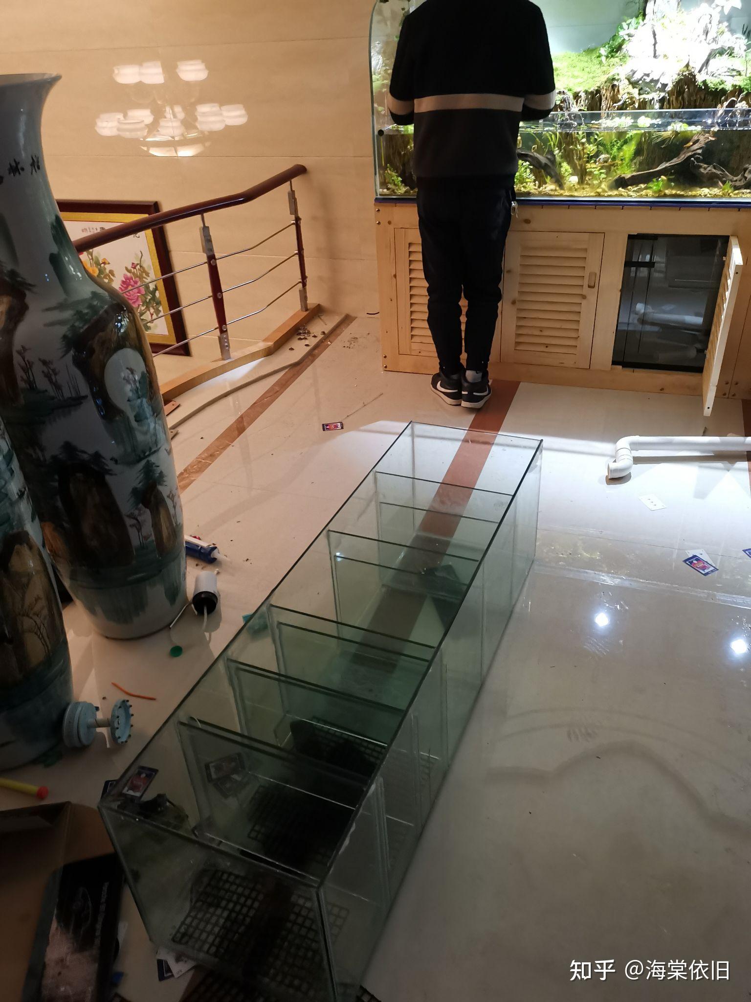 觀賞魚缸_觀賞魚缸腥味怎么去除_觀賞魚缸圖片大全