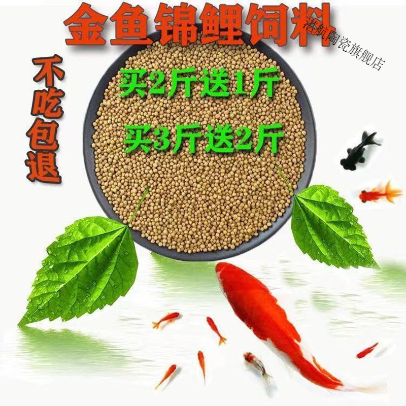 金魚養殖成本和利潤_金魚養殖_金魚養殖水溫多少合適