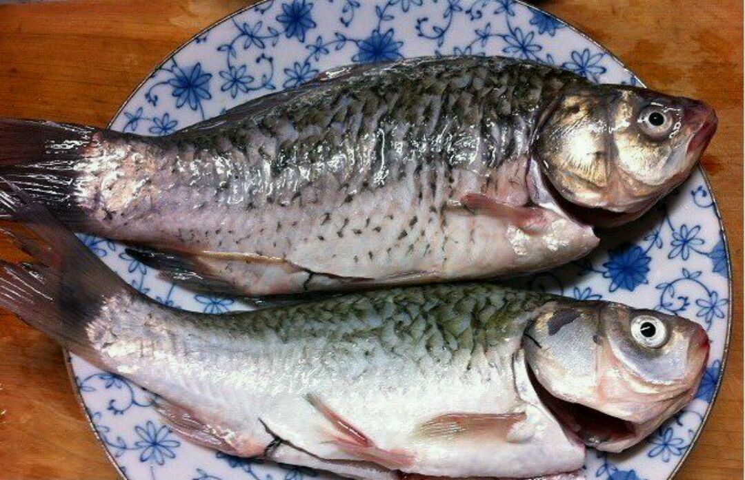 鯽魚做湯可以加什么最有營養_喝鯽魚湯放什么材料_鯽魚湯怎么做好喝又營養