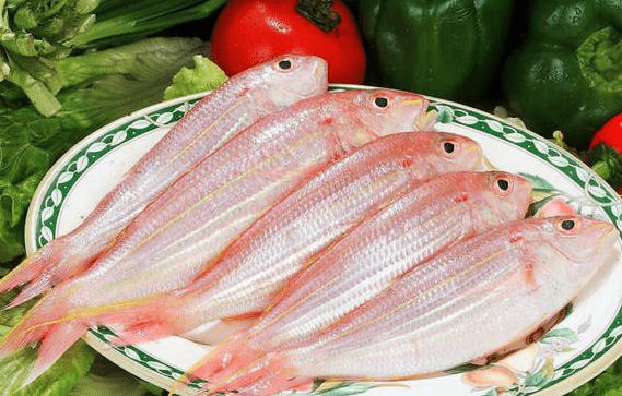 深海魚鲅魚是什么魚_深海魚鲅魚是海鮮嗎_鲅魚是深海魚嗎