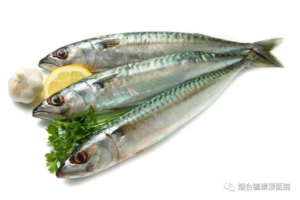 深海魚鲅魚是海鮮嗎_深海魚鲅魚是什么魚_鲅魚是深海魚嗎