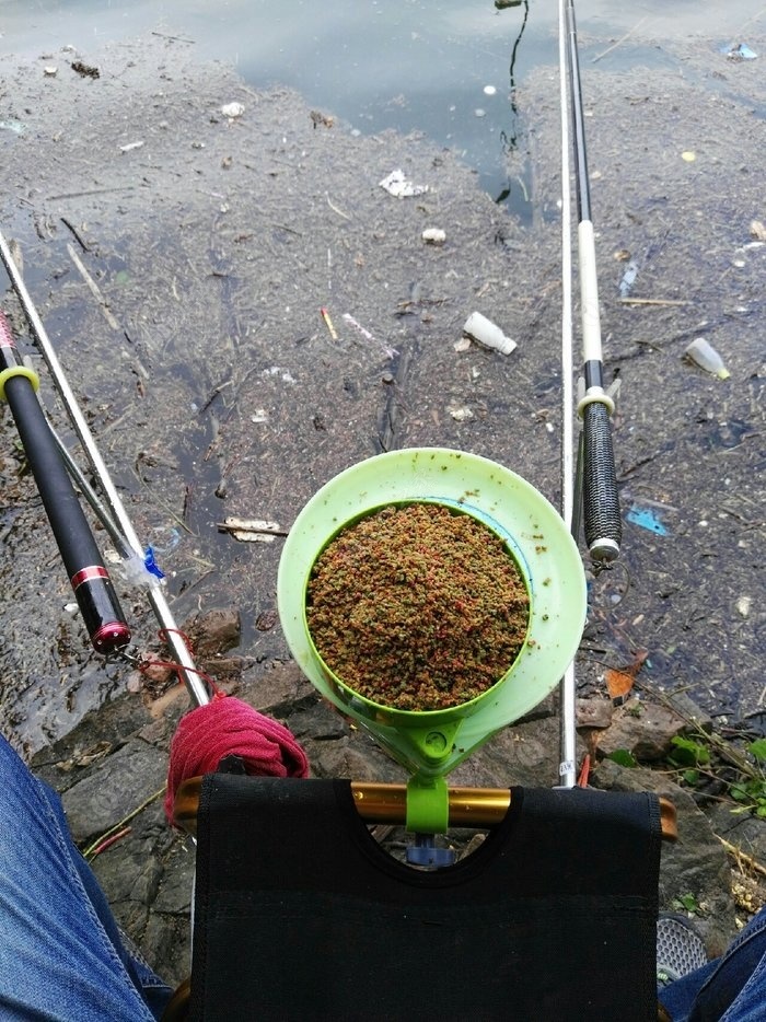 愛吃食物草魚怎么辦_草魚最愛吃的食物_愛吃草的魚