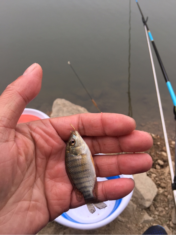 釣魚冬天好釣嗎_釣魚冬天怎么釣_冬天釣魚