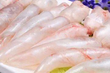 鯊魚鰾_鯊魚鰾怎么吃_鯊魚有魚鰾嗎
