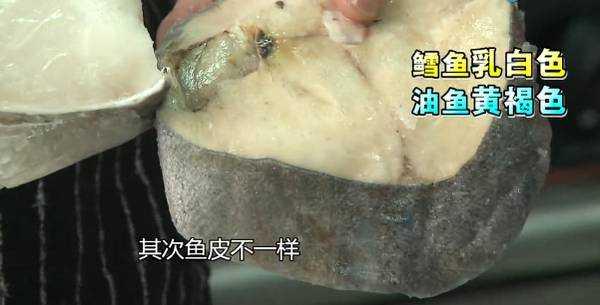 鱈魚和油魚的區別_魚油和鱈魚的區別_區別魚油鱈魚的真假
