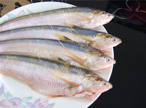 刀魚價格_刀魚報價_刀魚市場價格