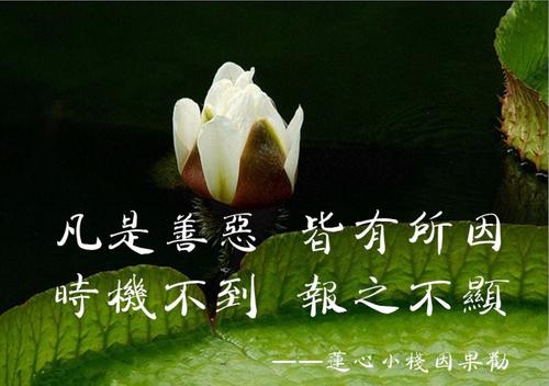 鯉魚跳龍門的故事_鯉魚跳龍門_鯉魚跳龍門的故事原文