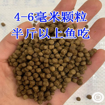 養殖草魚一畝放多少魚_草魚養殖_養殖草魚吃什么