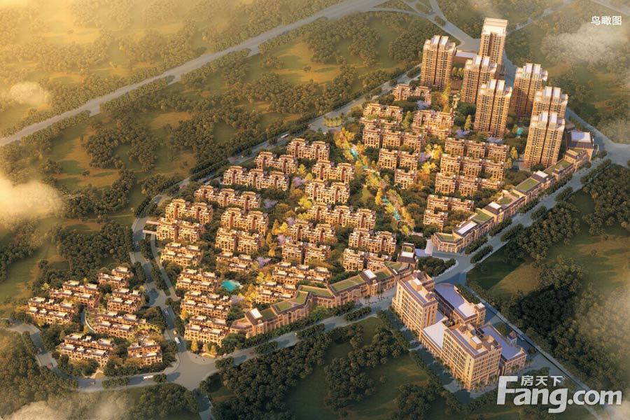 重慶茶園 魯能中交、金科、中鐵、融創、同景、奧園等實力房企入駐