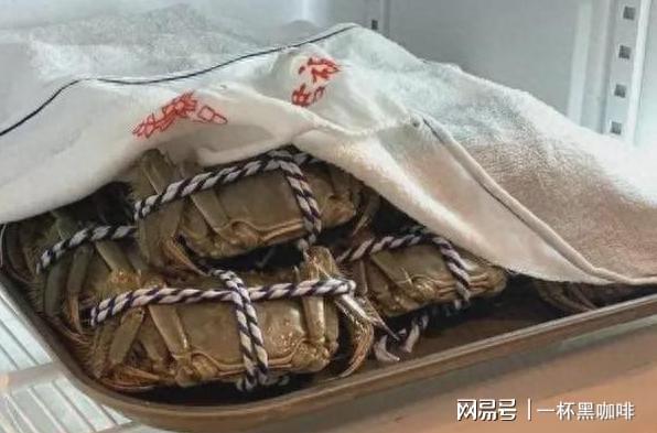 螃蟹怎么存放活的時間長一點_螃蟹存放活長點時間會死嗎_螃蟹存放活長點時間能吃嗎