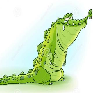鱷魚的眼淚_鱷魚流眼淚的原因是什么_鱷魚眼淚啥意思