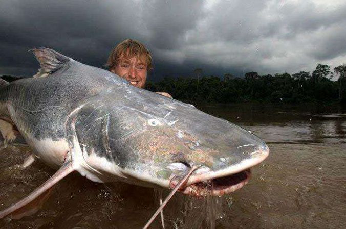世界十大最兇猛淡水魚_世界10大兇猛淡水魚_兇猛淡水魚排名