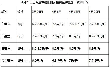 下半年新魚價穩住不掉價是謝天謝地了