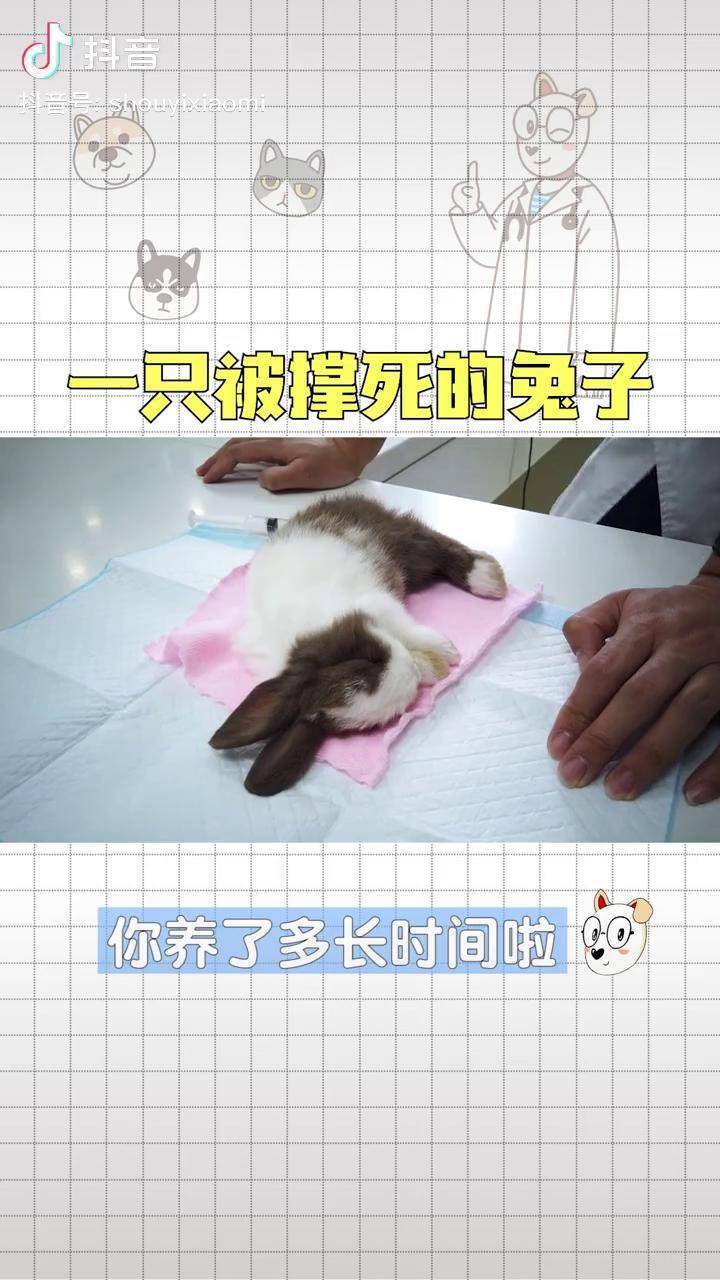 澳洲飛鼠魚竿是哪生產的_澳洲飛鼠魚竿全系列_澳洲飛鼠