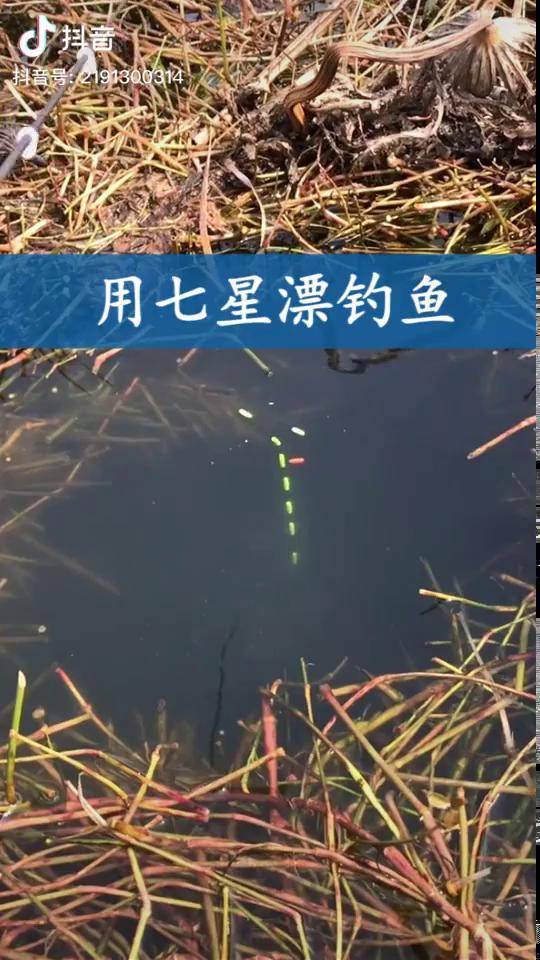 七星漂正確的調漂方法_七星漂調漂_七星漂調漂原理