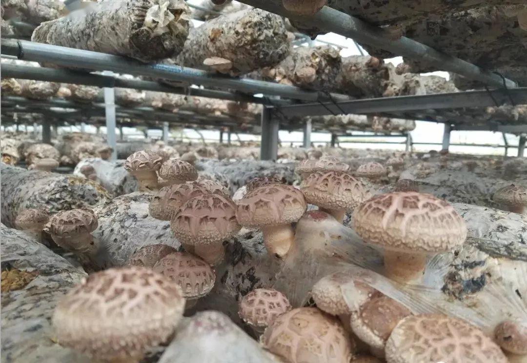 濕空氣相對濕度的意義_濕度空氣相對濕度多少_空氣相對濕度