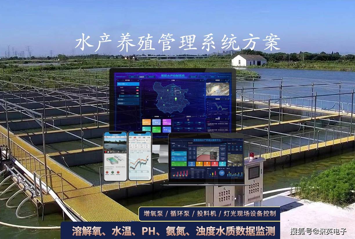 革胡子鯰魚能吃嗎_革胡子鯰魚和普通鯰魚有啥區別_革胡子鯰魚