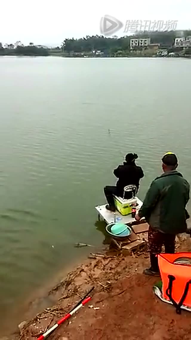 釣鯽魚小視頻_釣鯽魚視頻野釣實戰_釣魚視頻野釣鯽魚視頻