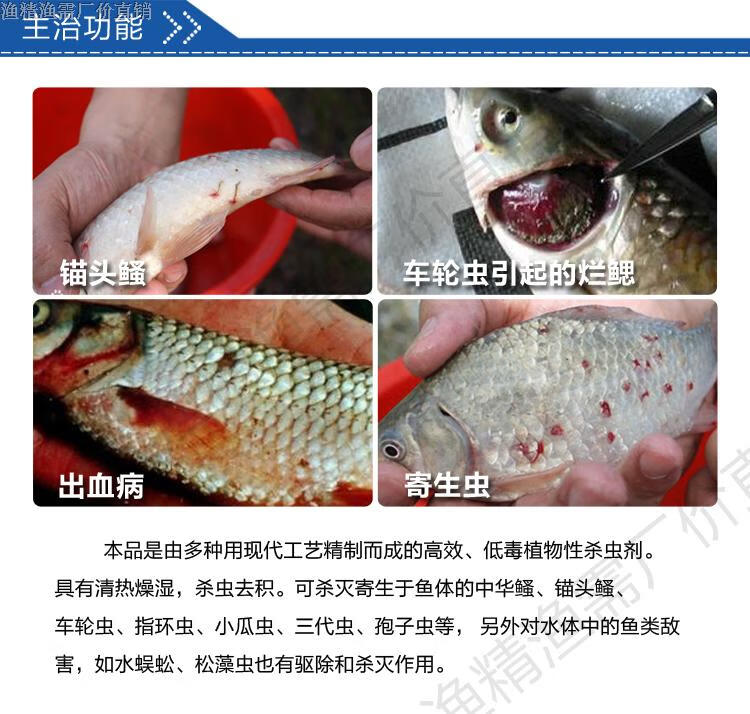 養殖魚賺錢嗎_多寶魚養殖_養殖魚技術大全