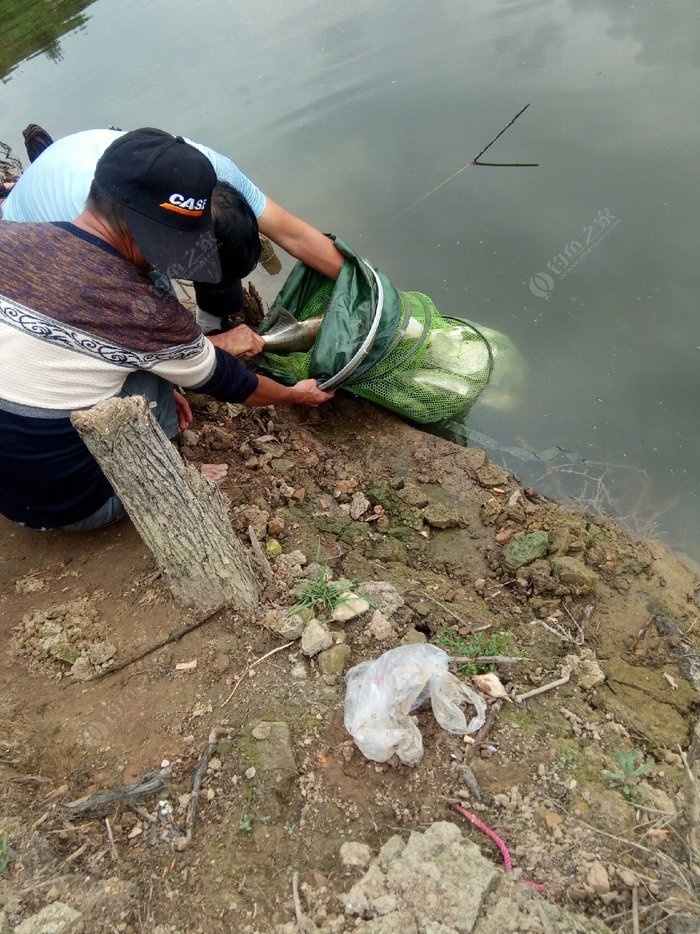 離我最近的免費釣魚水庫_水庫釣魚_免費釣魚水庫